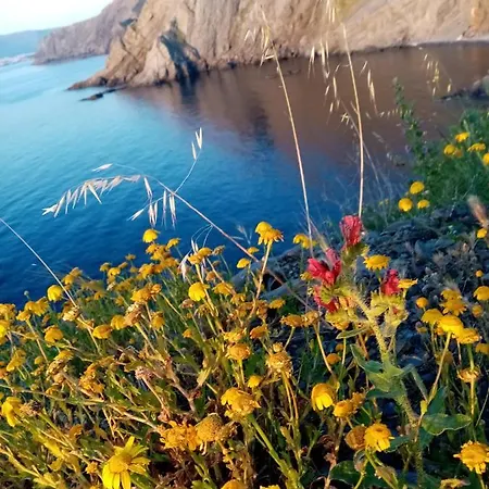 La Rosace Cerbere